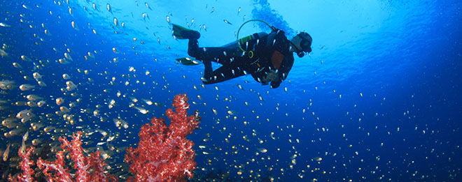 Scuba Diving Oman
