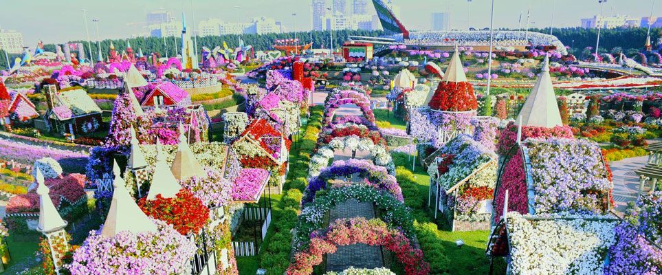 Dubai Miracle Garden