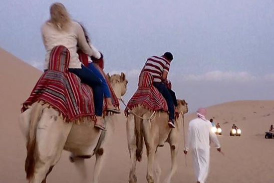 Camel Safari from Capital Gate Tourism