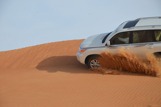 Desert Safari from Capital Gate Tourism